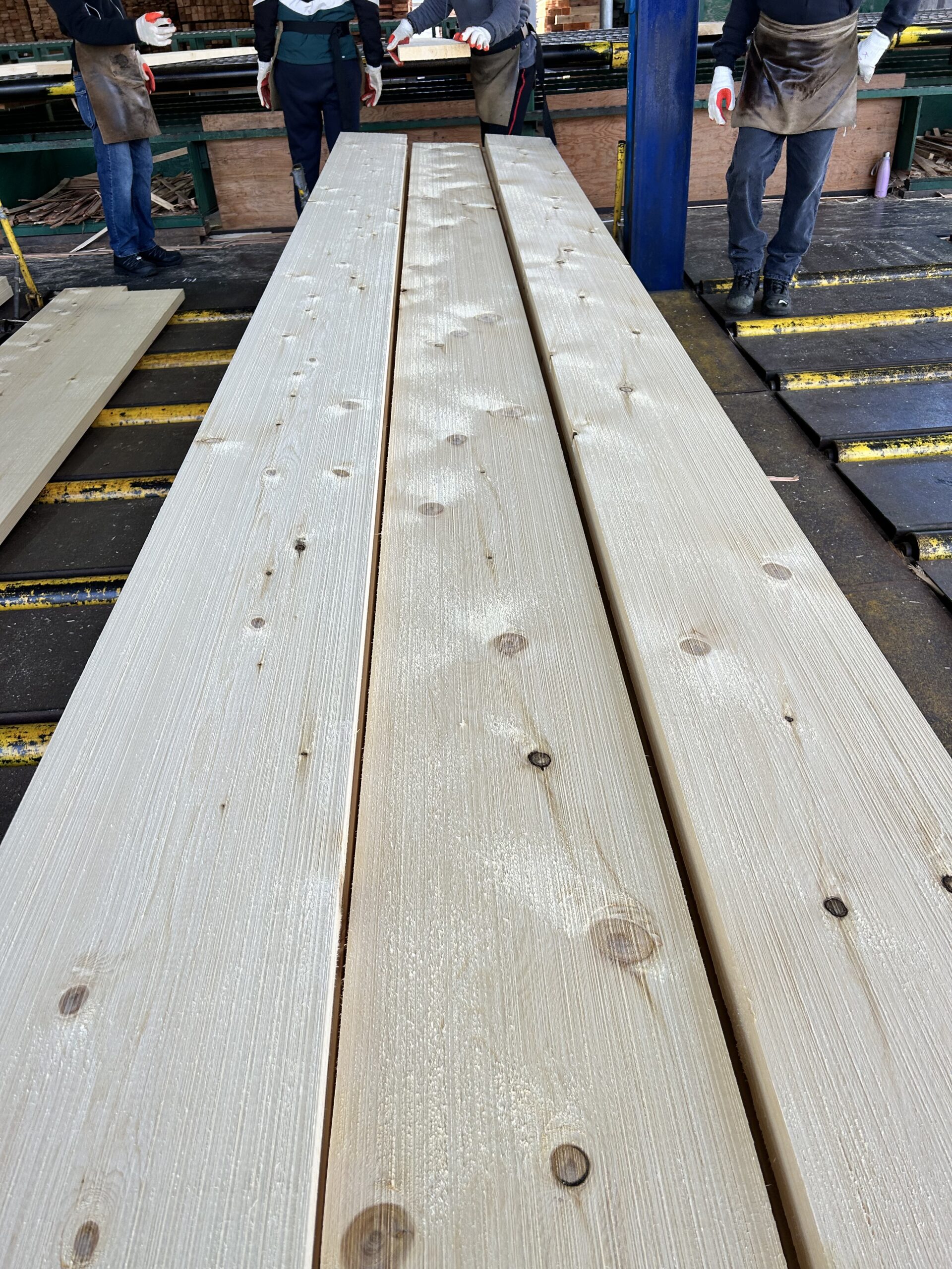 2x12 Rougher Headed Green Appearance Lumber - Kermode Forest Products